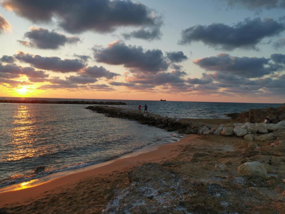 103 Regina Gardens Apartment Paphos ภายนอก รูปภาพ