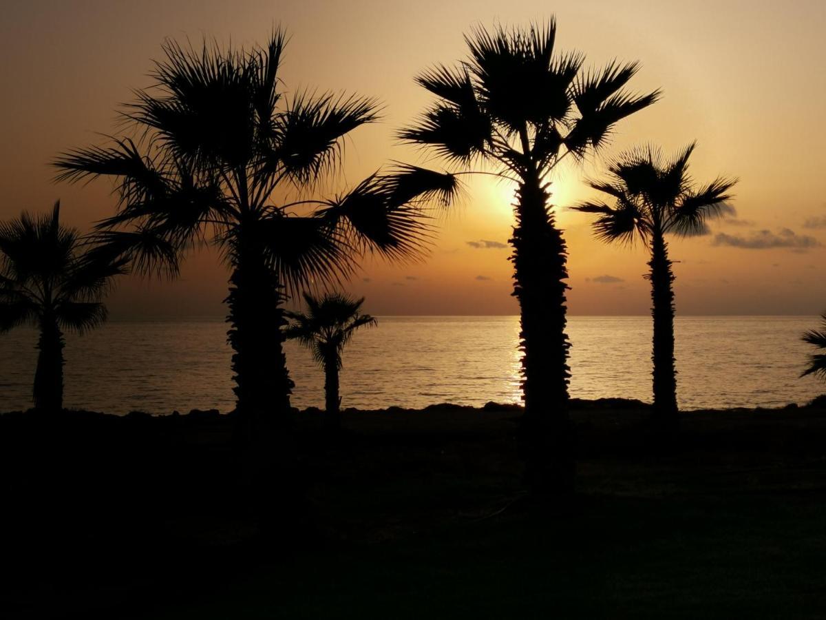103 Regina Gardens Apartment Paphos ภายนอก รูปภาพ