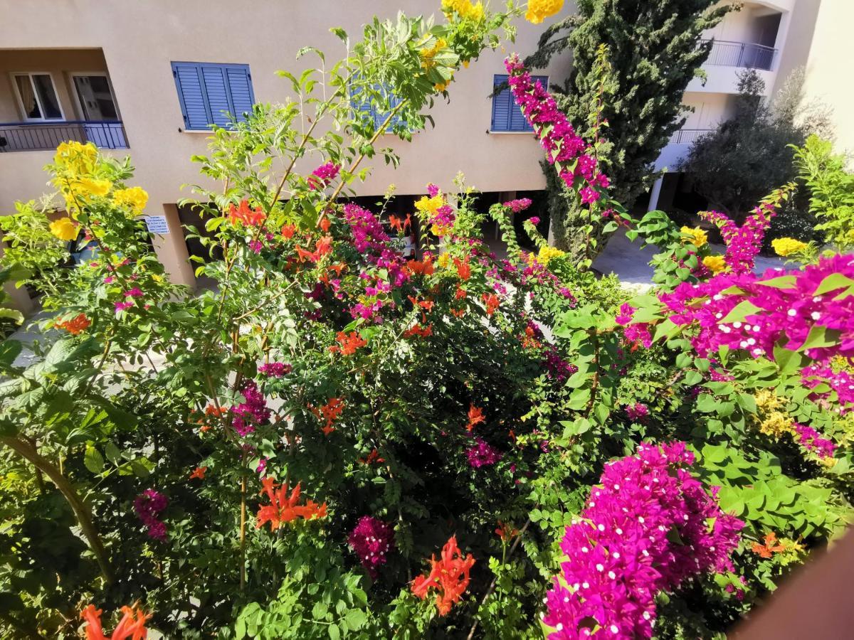 103 Regina Gardens Apartment Paphos ภายนอก รูปภาพ